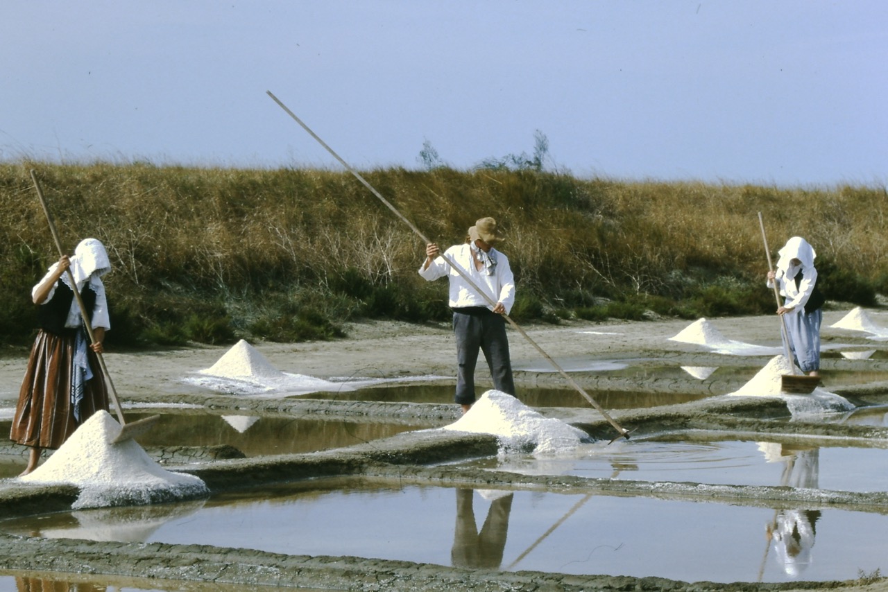 In the Spotlight: French Sea Salt